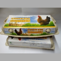 Zdjęcie produktu Opakowania 10 jaj od kur zielononóżki 50 sztuk