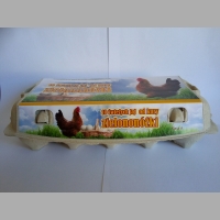 Zdjęcie produktu Opakowania na  10 jaj od kur zielononóżki 300 sztuk